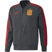 Veste Foot Espagne 2018/2019 Coupe du Monde Homme Gris-F Europe